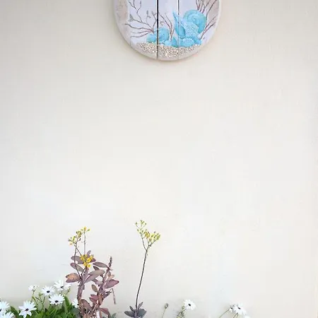 Ritsa House Αγία Ευφημία