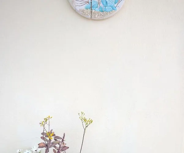 Ritsa House Αγία Ευφημία